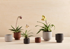 Botany Porcelain Plant Pot Large: Concrete Grey