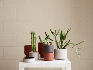 Botany Porcelain Plant Pot Large: Concrete Grey