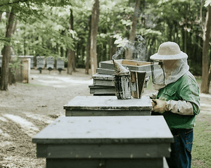 Raw Chestnut Honey