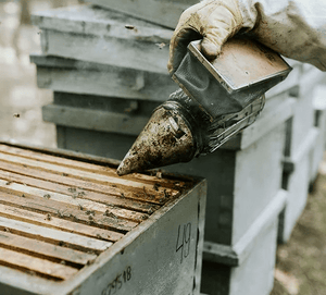 Raw Chestnut Honey