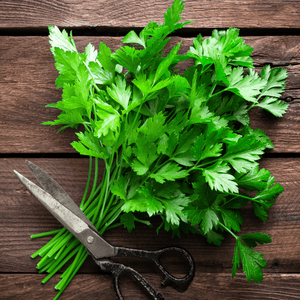 Kitchen Herbs Seed Collection